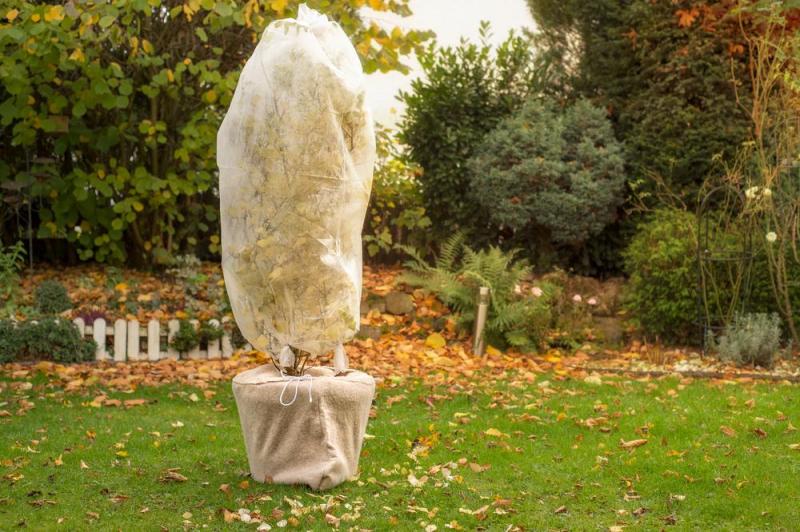 Mise en hivernage du jardin &agrave; Maizi&egrave;res-l&egrave;s-Metz : quels gestes cl&eacute;s ?